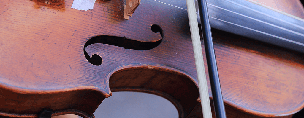 Violin Expert