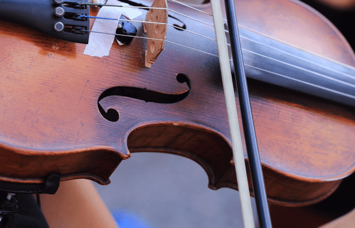 Violin Expert