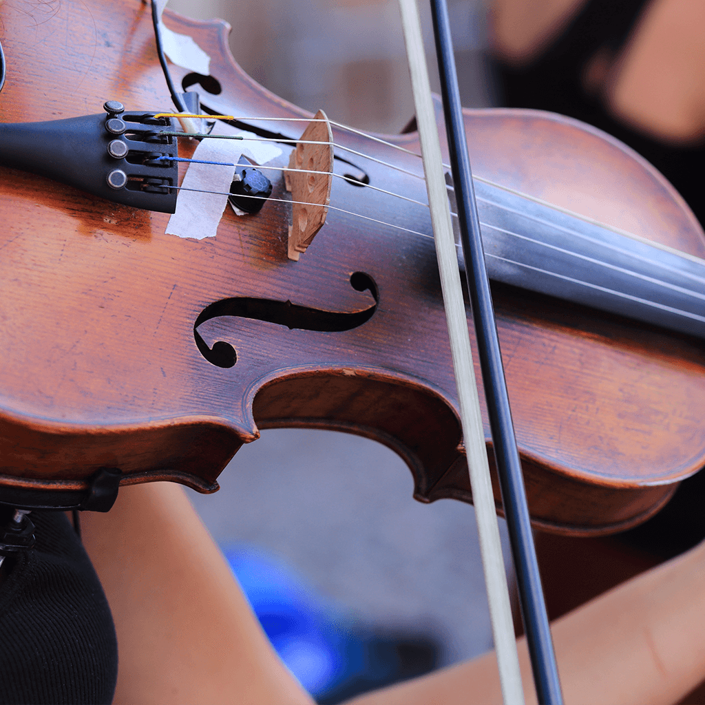 Violin Expert
